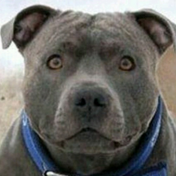 Meet your Posher, Eric - Picture 1 of 1